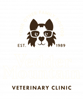 Vedder Mountain Veterinary Clinic