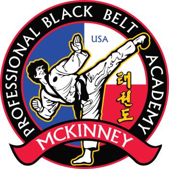 Professional Black Belt Academy