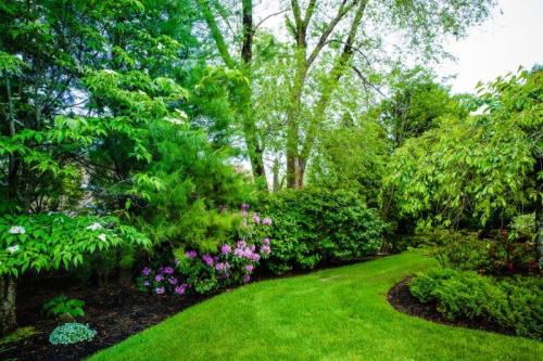 Jon Sneider Lawn Care & Tree Service